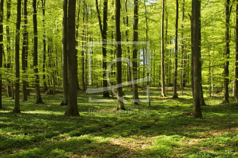 frei w&auml;hlbarer Bildausschnitt f&uuml;r Ihr Bild auf Untersetzer