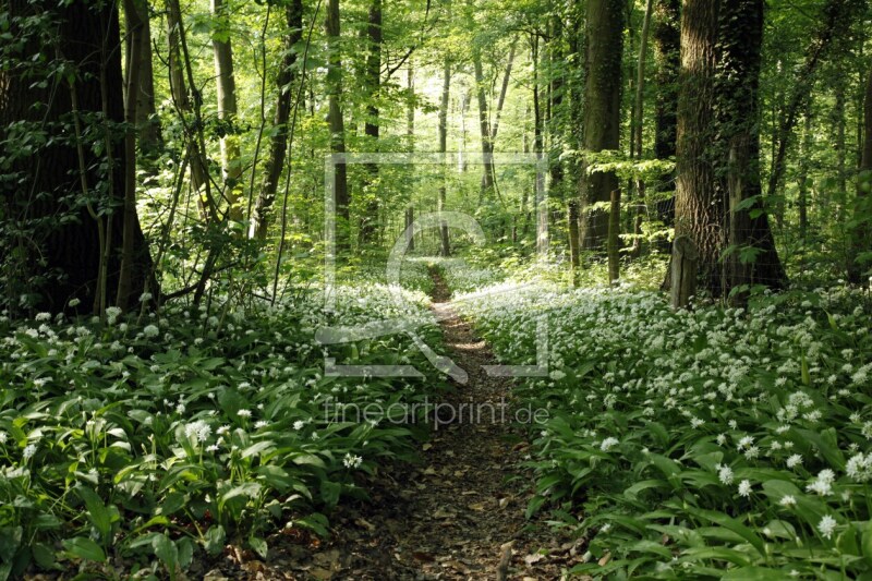 frei wählbarer Bildausschnitt für Ihr Bild auf Untersetzer