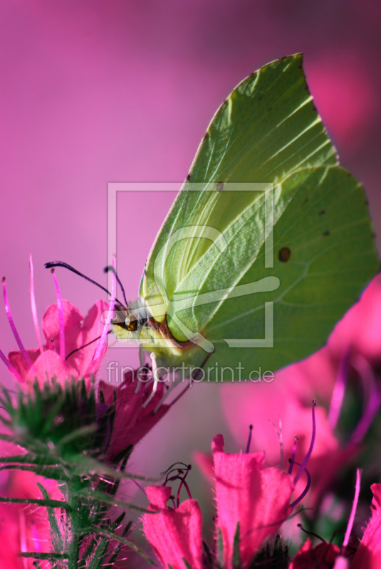 frei wählbarer Bildausschnitt für Ihr Bild auf Untersetzer