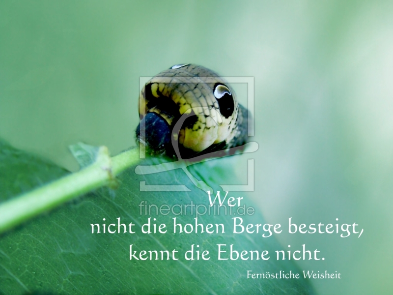 frei wählbarer Bildausschnitt für Ihr Bild auf Untersetzer