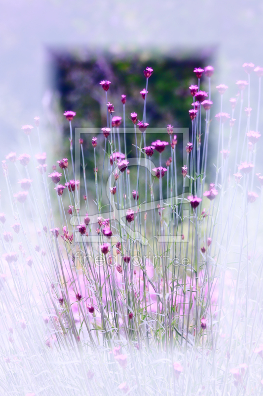frei wählbarer Bildausschnitt für Ihr Bild auf Untersetzer