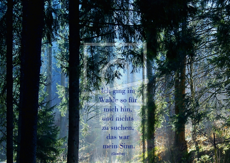 frei wählbarer Bildausschnitt für Ihr Bild auf Untersetzer