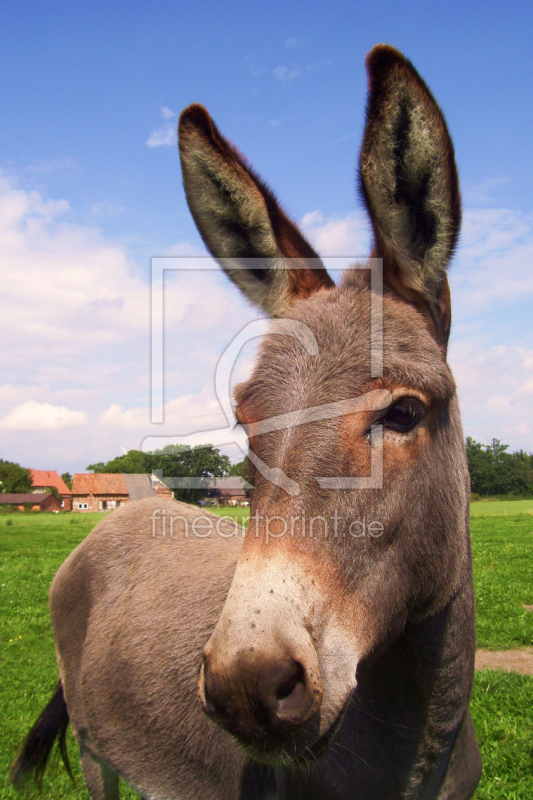 frei wählbarer Bildausschnitt für Ihr Bild auf Untersetzer