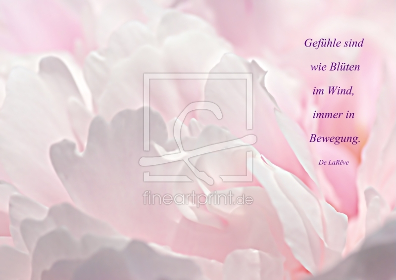 frei wählbarer Bildausschnitt für Ihr Bild auf Untersetzer