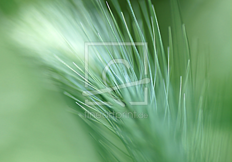 frei w&auml;hlbarer Bildausschnitt f&uuml;r Ihr Bild auf Untersetzer