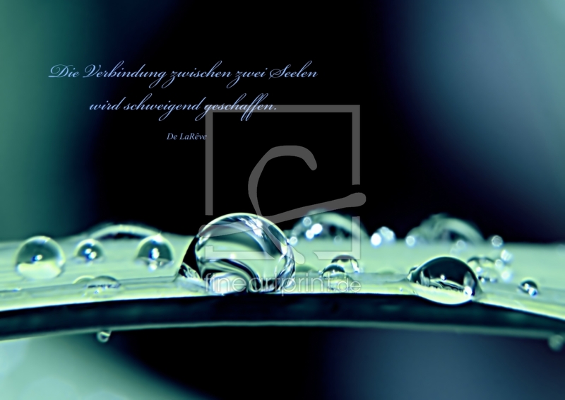 frei wählbarer Bildausschnitt für Ihr Bild auf Untersetzer