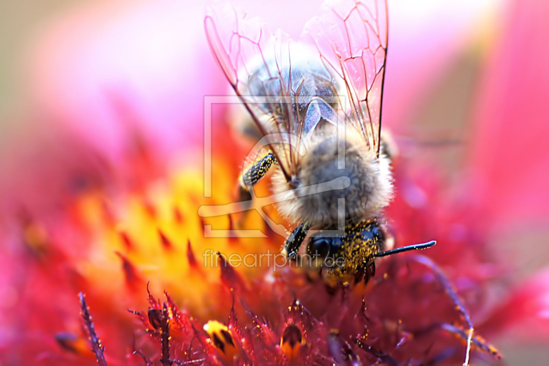 frei wählbarer Bildausschnitt für Ihr Bild auf Untersetzer