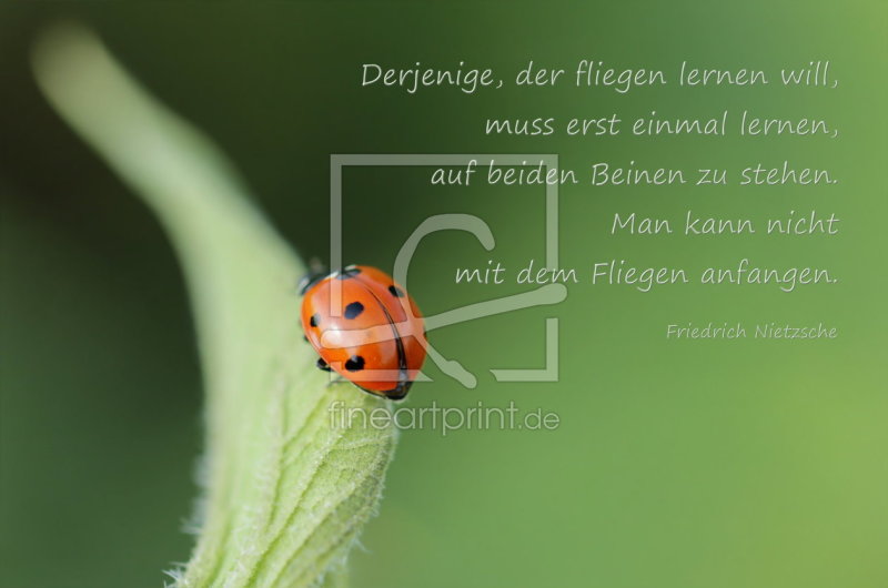 frei wählbarer Bildausschnitt für Ihr Bild auf Untersetzer