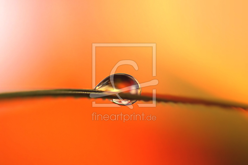 frei wählbarer Bildausschnitt für Ihr Bild auf Untersetzer