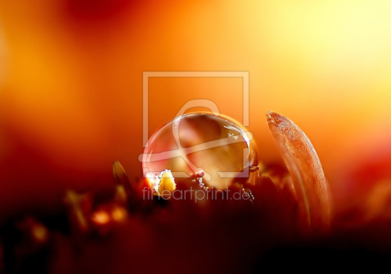 frei w&auml;hlbarer Bildausschnitt f&uuml;r Ihr Bild auf Untersetzer