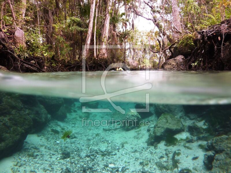 frei wählbarer Bildausschnitt für Ihr Bild auf Untersetzer