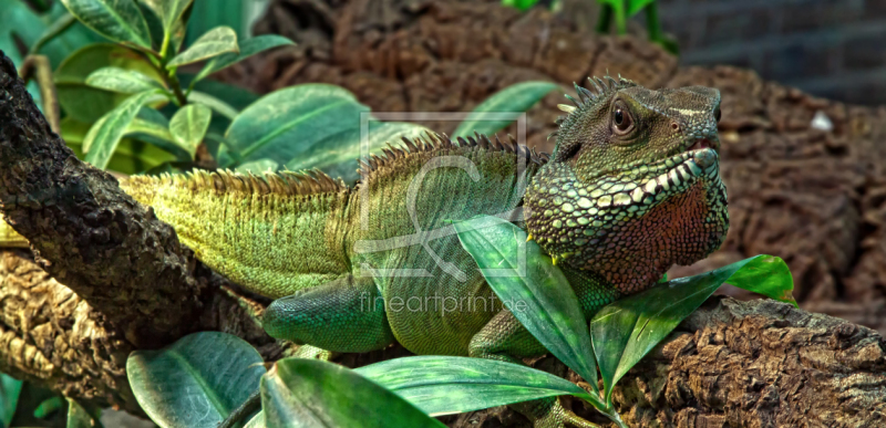 frei w&auml;hlbarer Bildausschnitt f&uuml;r Ihr Bild auf Untersetzer