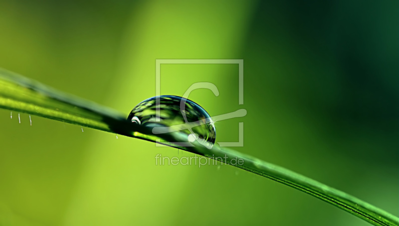 frei w&auml;hlbarer Bildausschnitt f&uuml;r Ihr Bild auf Untersetzer