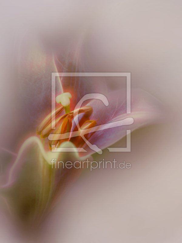 frei wählbarer Bildausschnitt für Ihr Bild auf Untersetzer