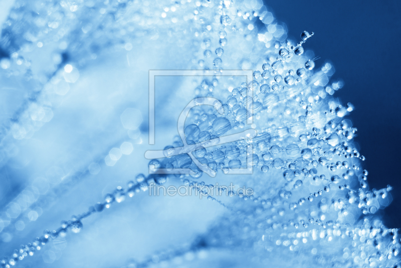 frei w&auml;hlbarer Bildausschnitt f&uuml;r Ihr Bild auf Untersetzer