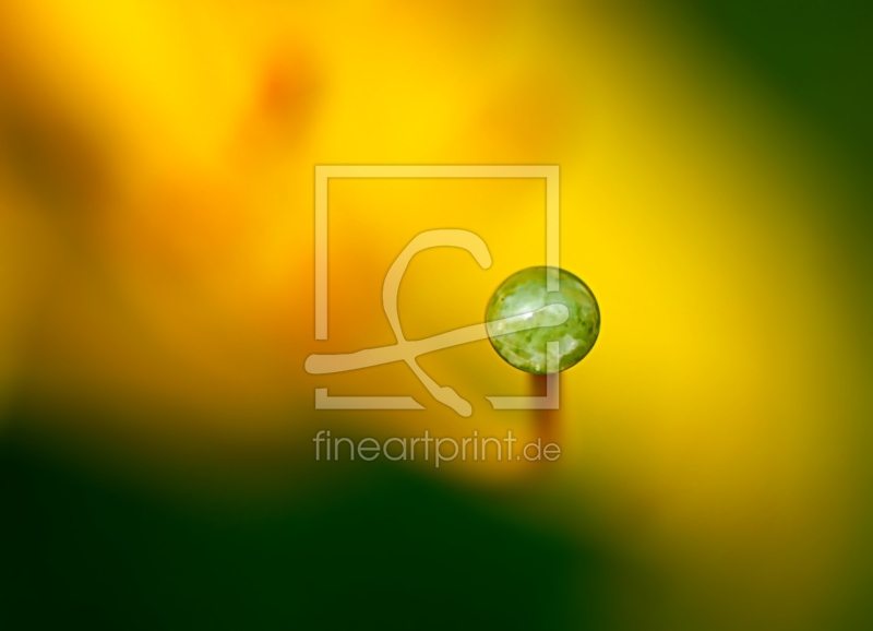 frei wählbarer Bildausschnitt für Ihr Bild auf Untersetzer