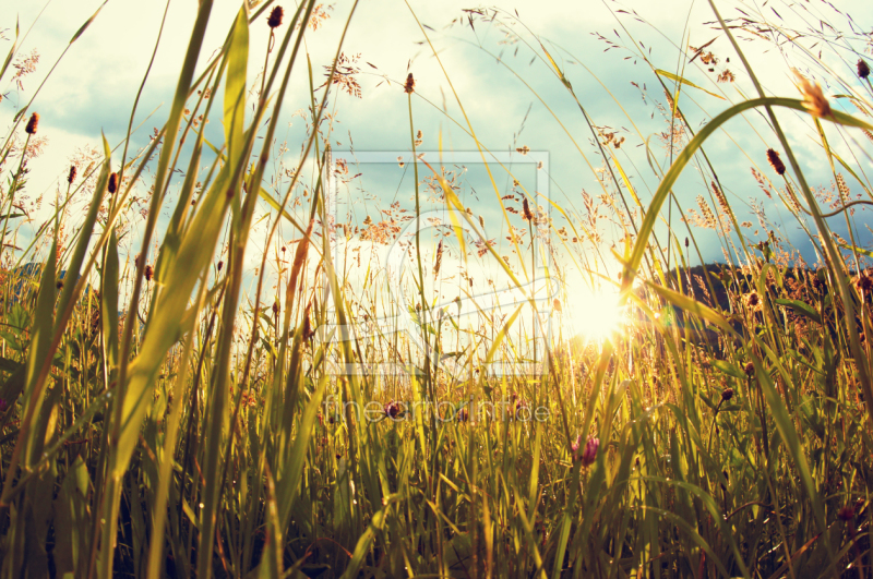 frei w&auml;hlbarer Bildausschnitt f&uuml;r Ihr Bild auf Untersetzer