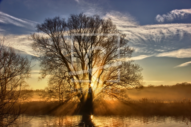 frei w&auml;hlbarer Bildausschnitt f&uuml;r Ihr Bild auf Untersetzer