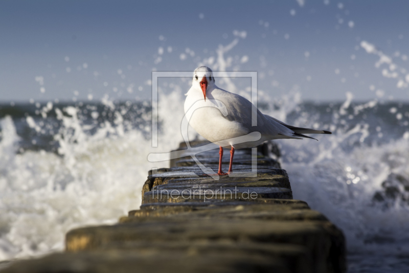 frei wählbarer Bildausschnitt für Ihr Bild auf Untersetzer