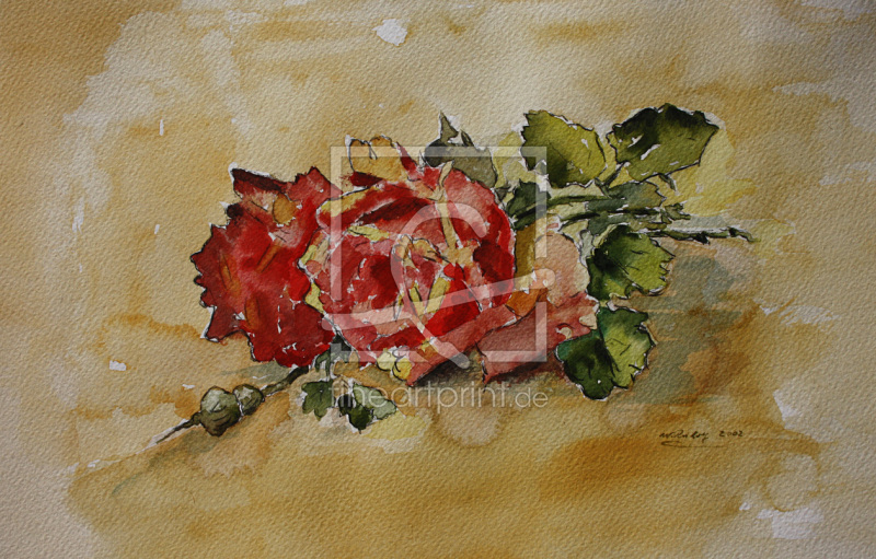 frei wählbarer Bildausschnitt für Ihr Bild auf Untersetzer