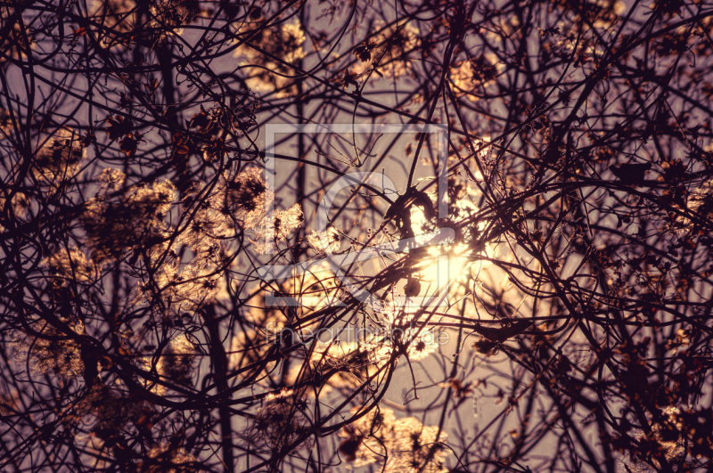 frei w&auml;hlbarer Bildausschnitt f&uuml;r Ihr Bild auf Untersetzer