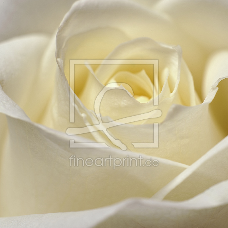 frei w&auml;hlbarer Bildausschnitt f&uuml;r Ihr Bild auf Untersetzer