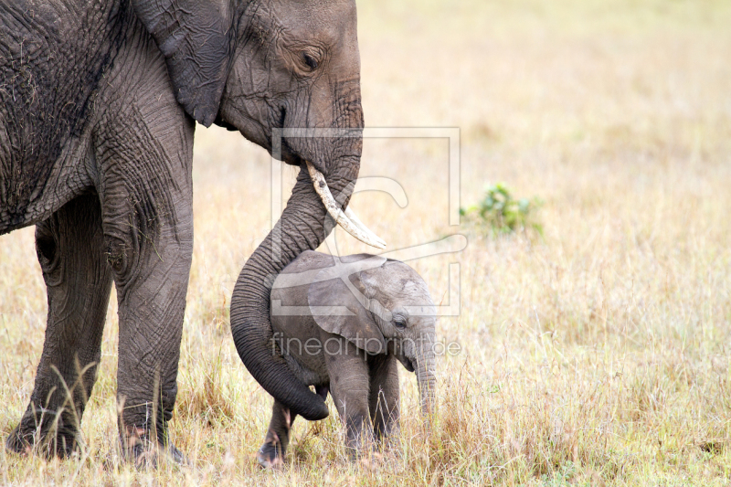 frei wählbarer Bildausschnitt für Ihr Bild auf Untersetzer