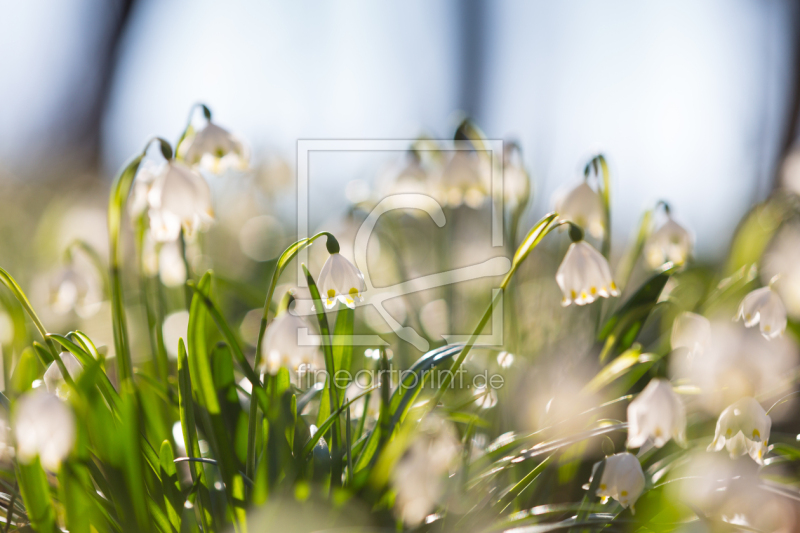 frei w&auml;hlbarer Bildausschnitt f&uuml;r Ihr Bild auf Untersetzer