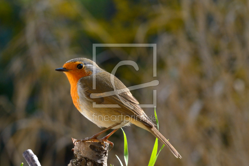 frei w&auml;hlbarer Bildausschnitt f&uuml;r Ihr Bild auf Untersetzer