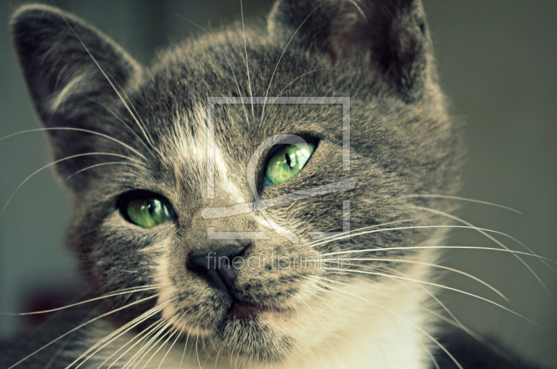 frei w&auml;hlbarer Bildausschnitt f&uuml;r Ihr Bild auf Untersetzer