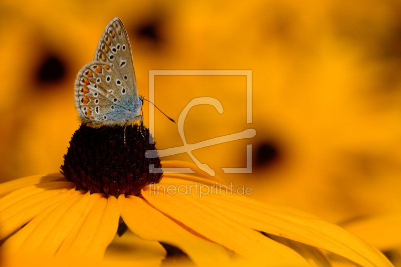 frei w&auml;hlbarer Bildausschnitt f&uuml;r Ihr Bild auf Untersetzer