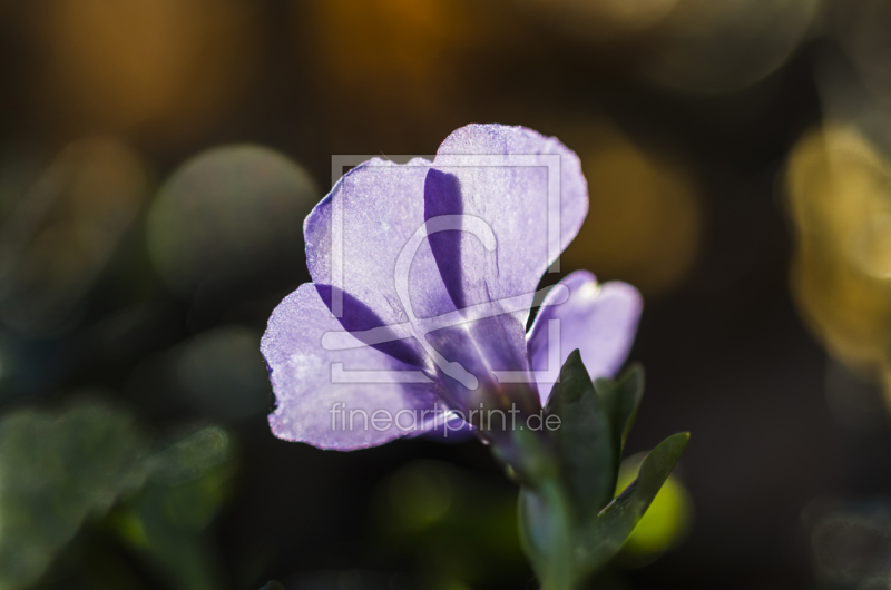 frei wählbarer Bildausschnitt für Ihr Bild auf Untersetzer