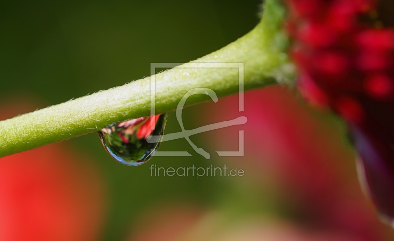 frei wählbarer Bildausschnitt für Ihr Bild auf Untersetzer