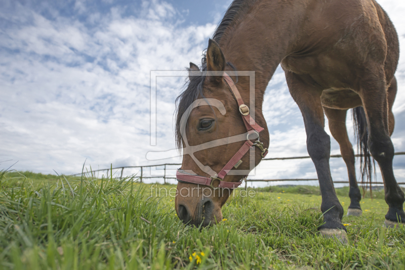 frei w&auml;hlbarer Bildausschnitt f&uuml;r Ihr Bild auf Untersetzer