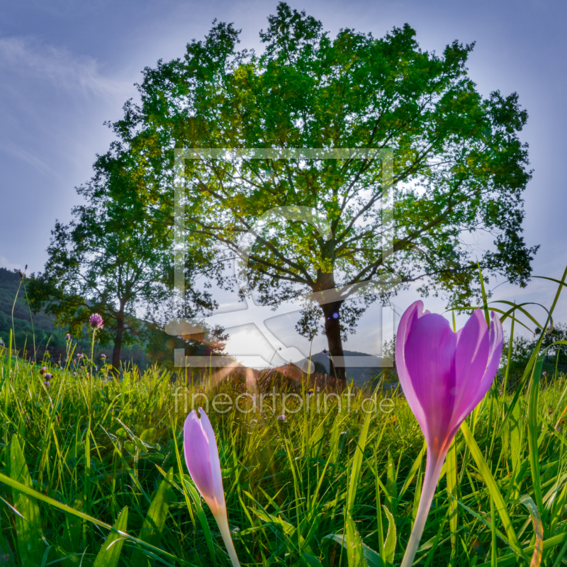 frei wählbarer Bildausschnitt für Ihr Bild auf Untersetzer