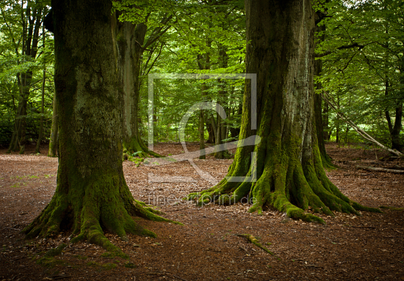 frei w&auml;hlbarer Bildausschnitt f&uuml;r Ihr Bild auf Untersetzer