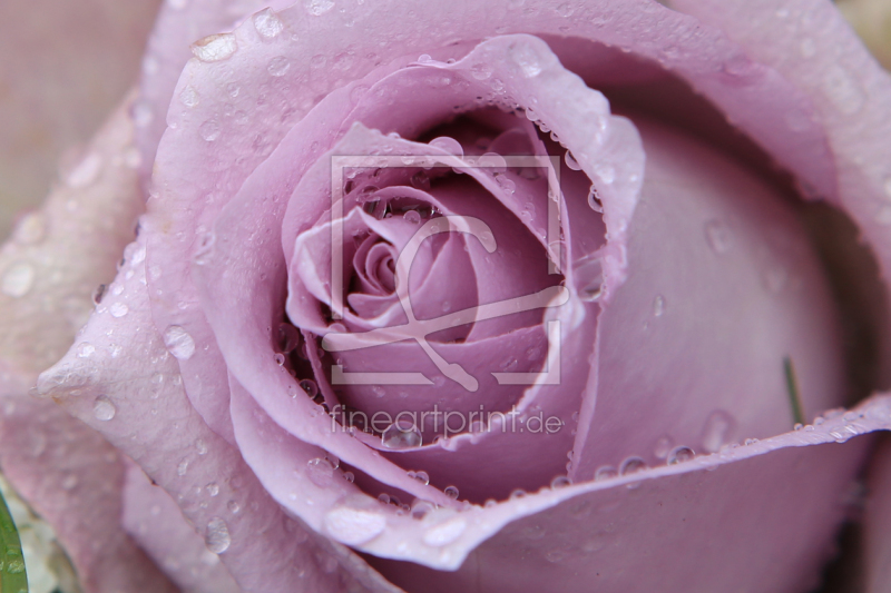 frei w&auml;hlbarer Bildausschnitt f&uuml;r Ihr Bild auf Untersetzer