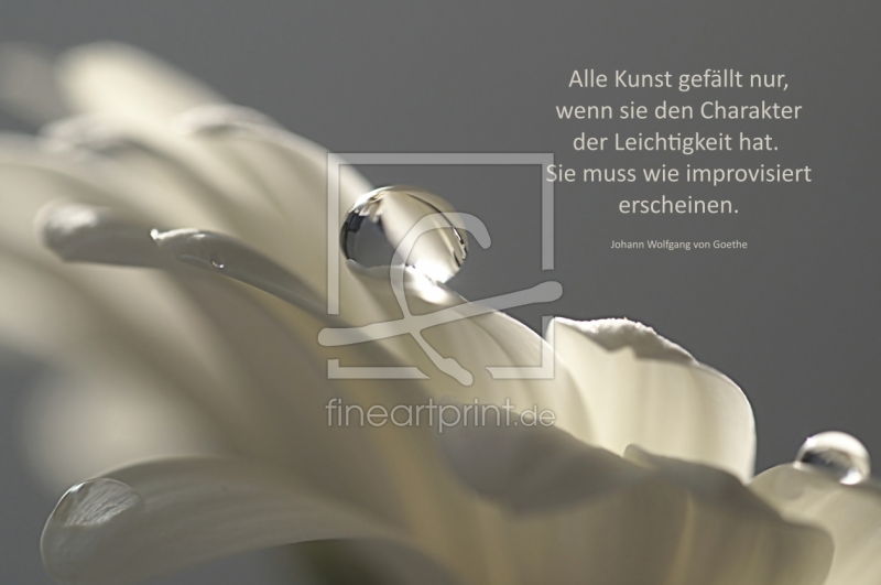frei wählbarer Bildausschnitt für Ihr Bild auf Untersetzer