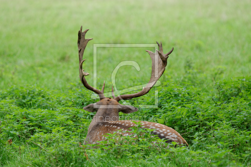 frei w&auml;hlbarer Bildausschnitt f&uuml;r Ihr Bild auf Untersetzer