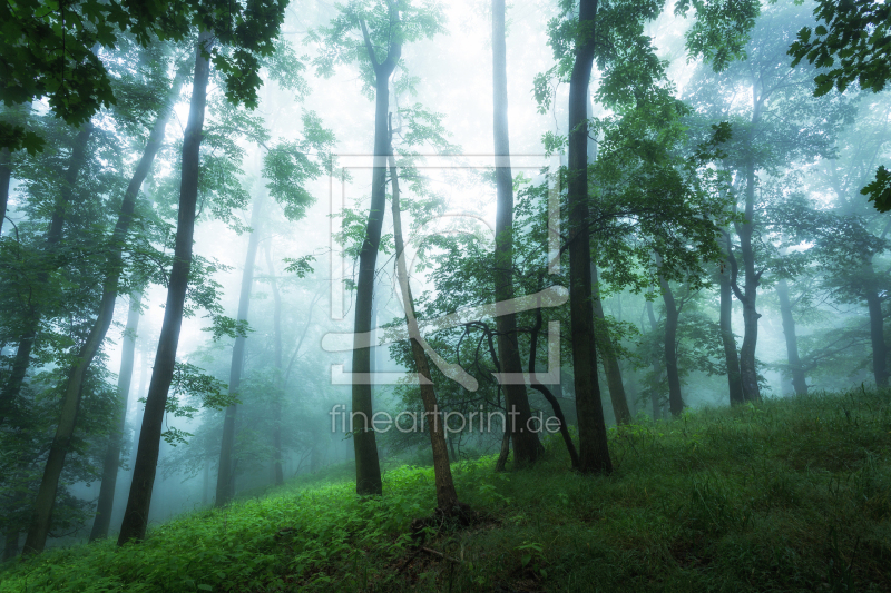 frei wählbarer Bildausschnitt für Ihr Bild auf Untersetzer