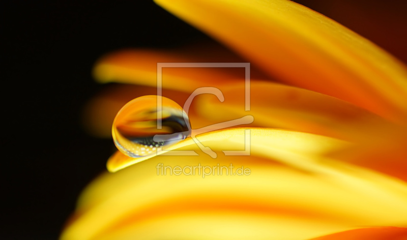 frei w&auml;hlbarer Bildausschnitt f&uuml;r Ihr Bild auf Untersetzer