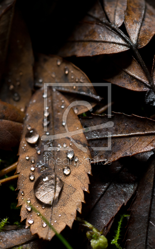 frei w&auml;hlbarer Bildausschnitt f&uuml;r Ihr Bild auf Untersetzer