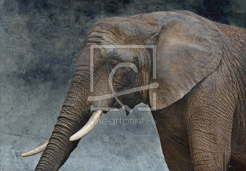 frei w&auml;hlbarer Bildausschnitt f&uuml;r Ihr Bild auf Untersetzer