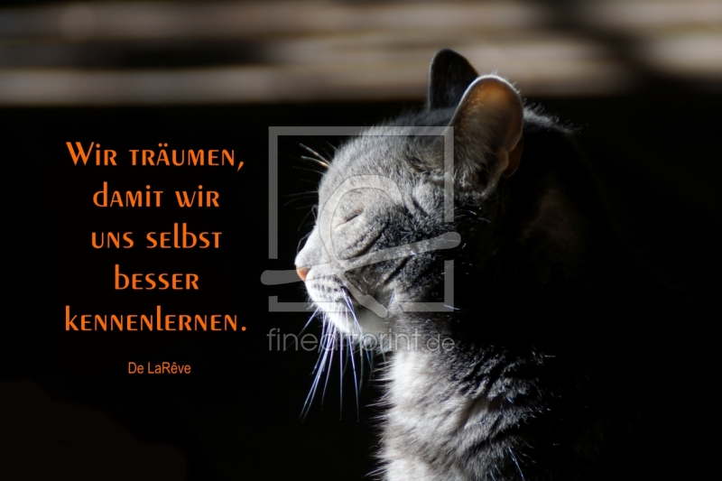 frei wählbarer Bildausschnitt für Ihr Bild auf Untersetzer
