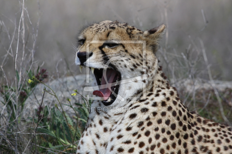 frei w&auml;hlbarer Bildausschnitt f&uuml;r Ihr Bild auf Untersetzer