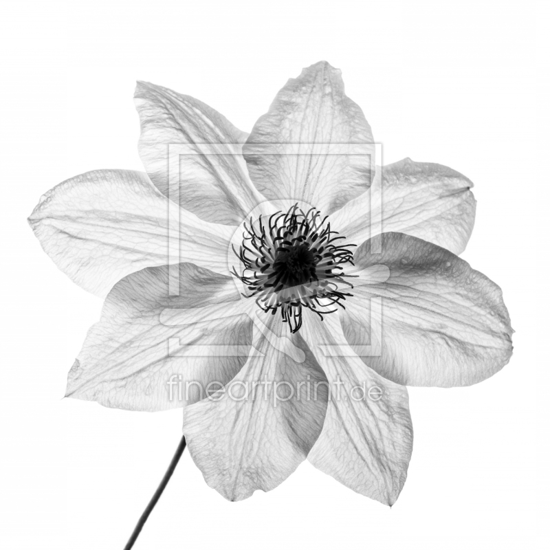 frei w&auml;hlbarer Bildausschnitt f&uuml;r Ihr Bild auf Untersetzer