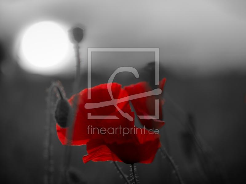 frei w&auml;hlbarer Bildausschnitt f&uuml;r Ihr Bild auf Untersetzer