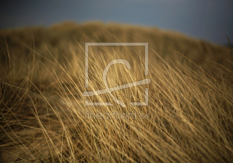 frei wählbarer Bildausschnitt für Ihr Bild auf Untersetzer