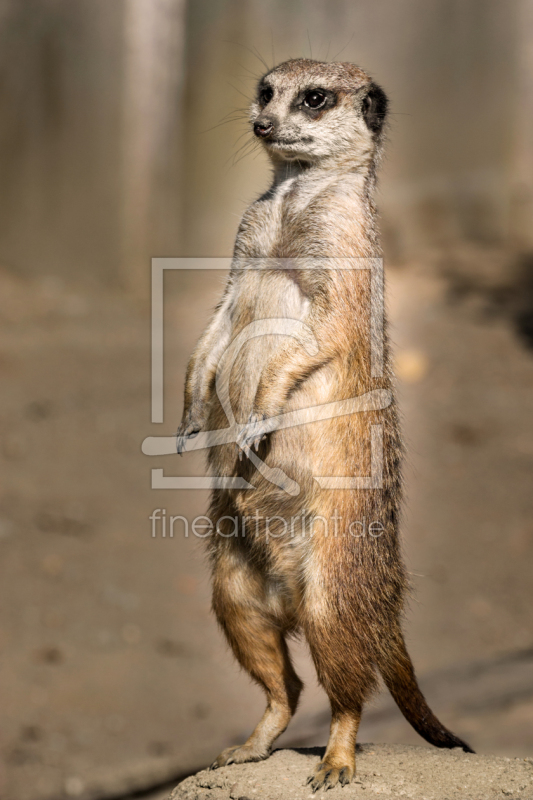 frei wählbarer Bildausschnitt für Ihr Bild auf Untersetzer