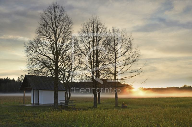 frei wählbarer Bildausschnitt für Ihr Bild auf Untersetzer